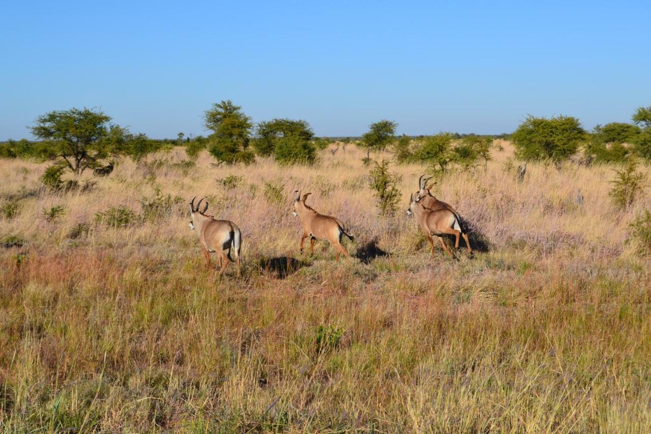 Chobe Sunset Chalets Lesoma ภายนอก รูปภาพ